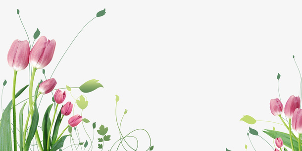 郁金香花瓣免抠