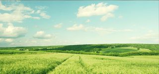 淘宝天猫田园背景图高清