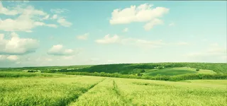 淘宝天猫田园背景图高清