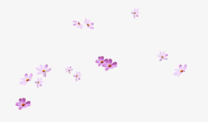 紫色花瓣免抠
