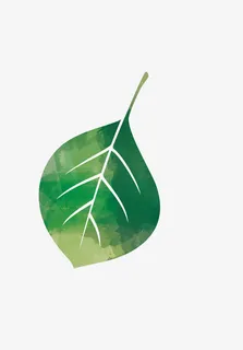 绿色叶子PNG下载免抠