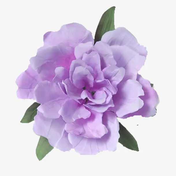 紫色花朵免抠