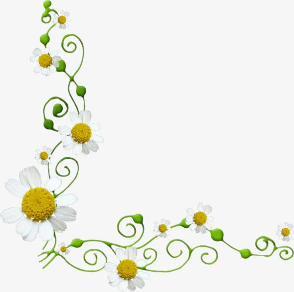白色精简花边框免抠