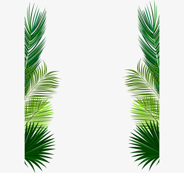 针叶植物海边边框免抠标签元素