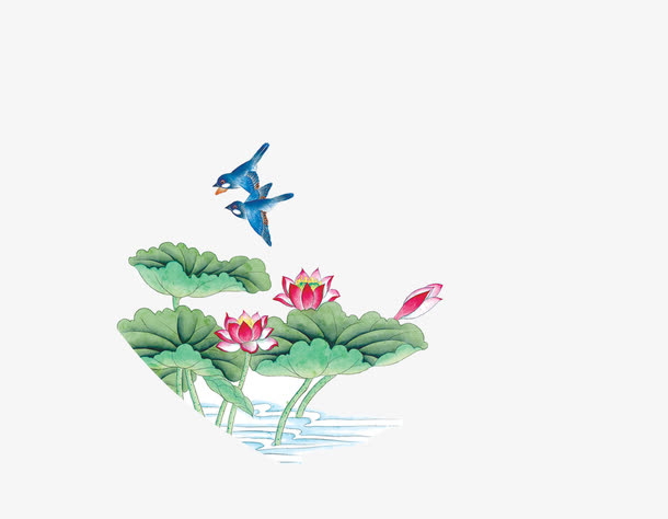 荷花免抠