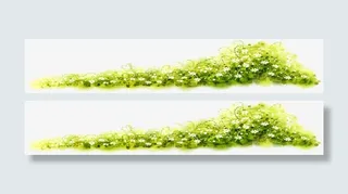 手绘绿色草坪春天风景免抠