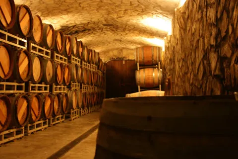 红酒储藏室地下整齐免抠