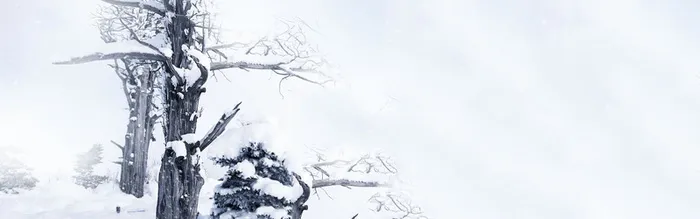 淘宝男装banner创意设计高清