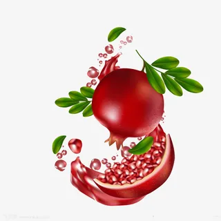 石榴，植物，树叶免抠