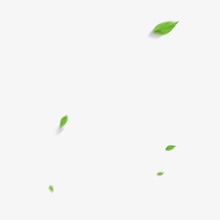 飘落的绿叶免抠