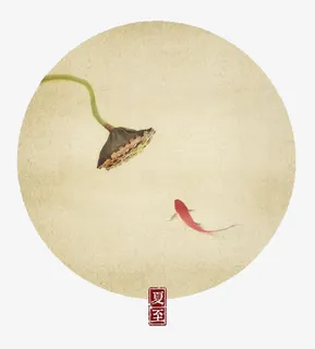 夏至免抠 夏至免抠