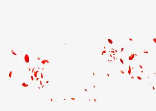 飘落的花瓣免抠