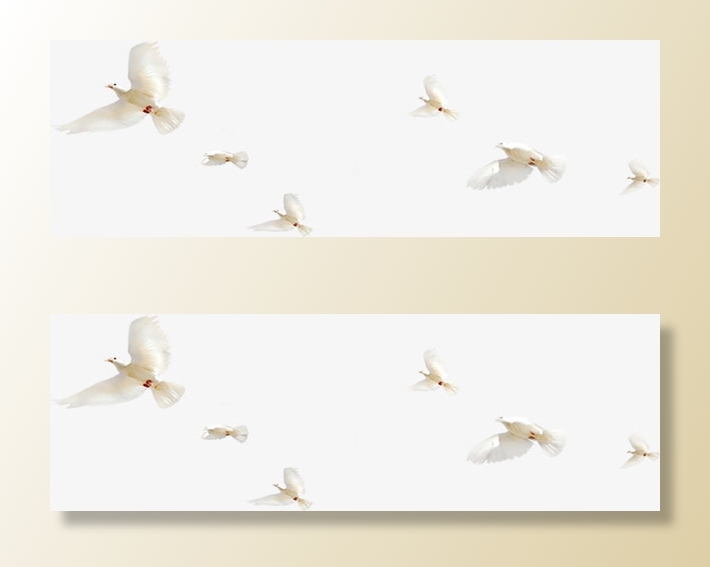 春天环保飞翔白鸽免抠装饰动物元素