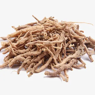 远志肉药材免抠