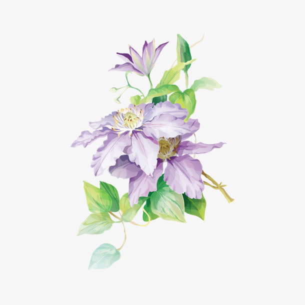 手绘花免抠