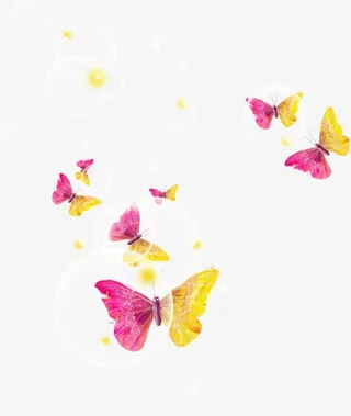 彩色蝴蝶图片免抠