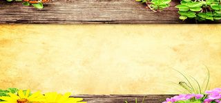 鲜花背景草地背景高清