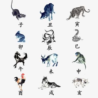 十二生肖与地支免抠
