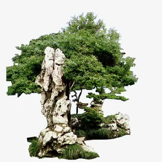 假山绿化园林素材免抠