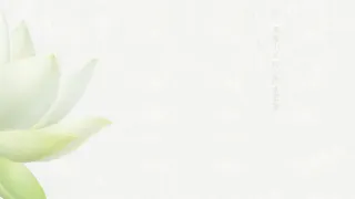 化妆品白色荷花首页免抠