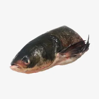 产品实物水库花鲢鱼免抠