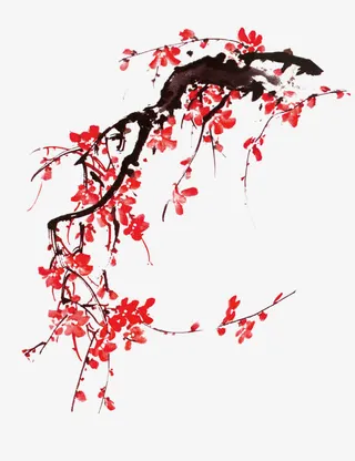 冬日水墨红色梅花免抠