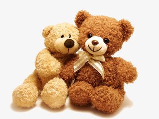 熊毛绒玩具免抠