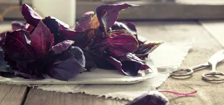 紫苏背景图高清