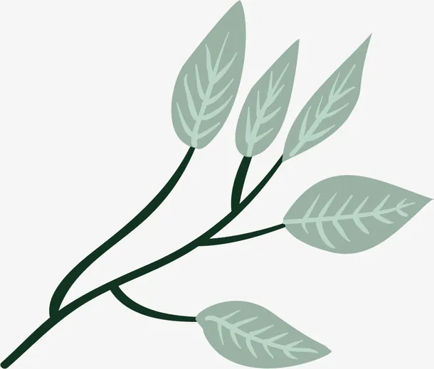 手绘卡通绿色树叶数字免抠
