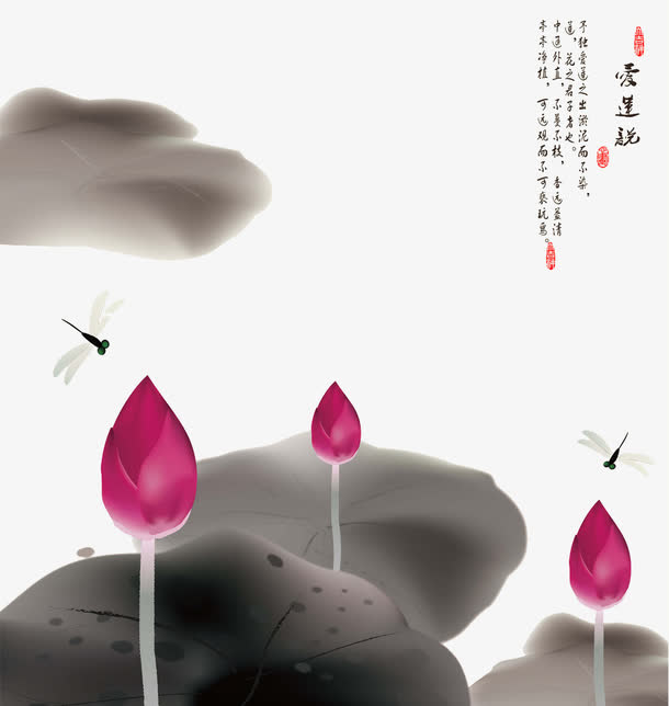 荷花免抠
