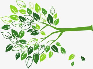 春天手绘绿叶大树免抠