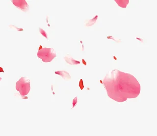 花瓣免抠