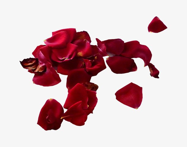 红色玫瑰花瓣免抠