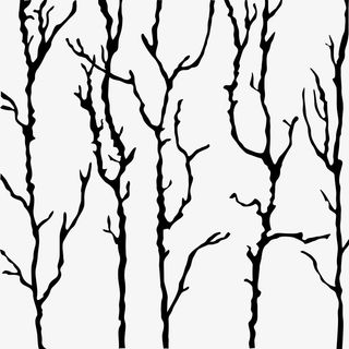 干枯的树藤免抠