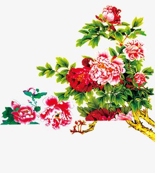 红粉开放鲜艳花朵免抠