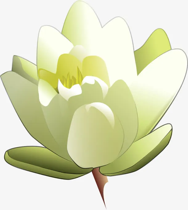 纯洁的百合免抠