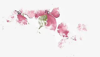 水彩粉色花瓣花朵免抠