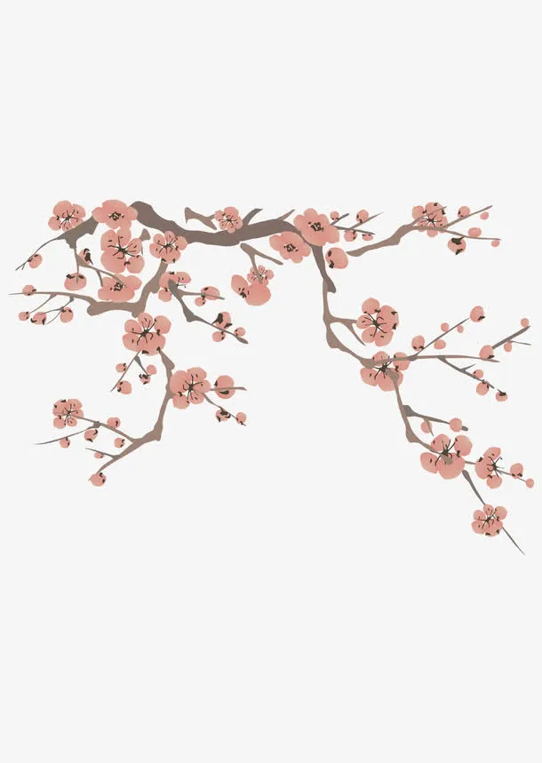 手绘梅花素材免抠
