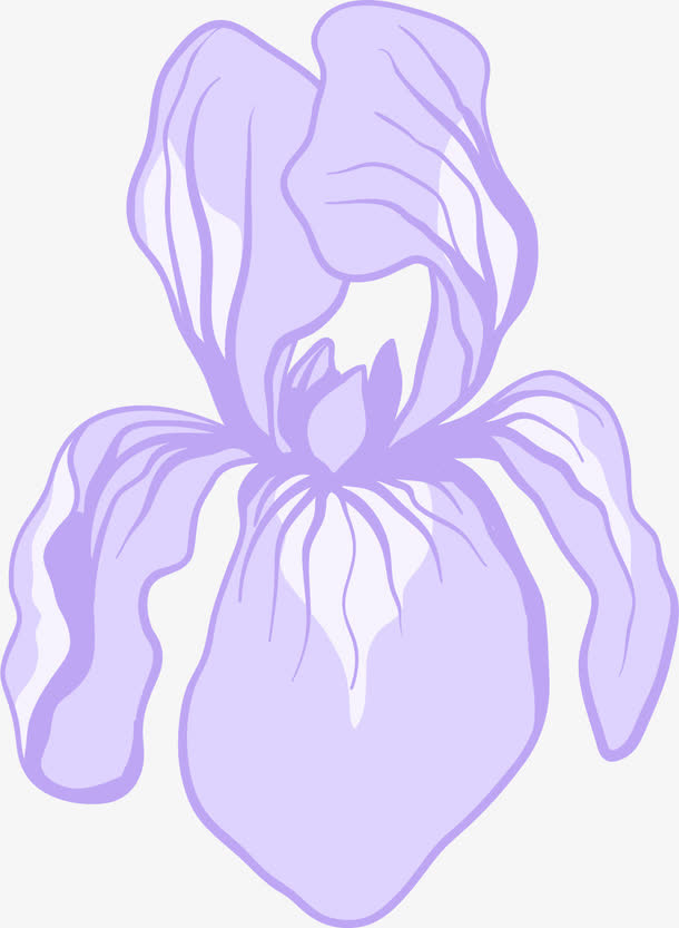 纯色透明的卡通矢量鸢尾花免抠