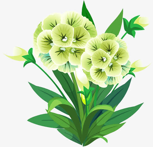 花免抠