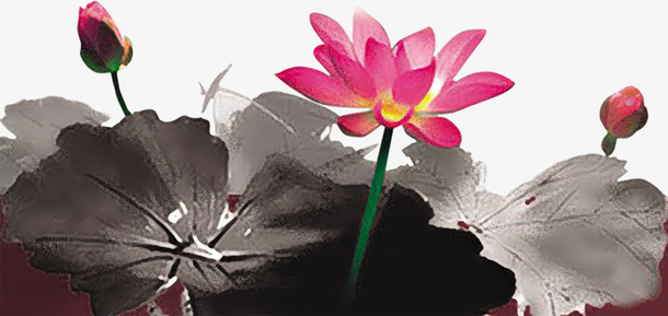 墨水,墨点,墨水画荷花免抠