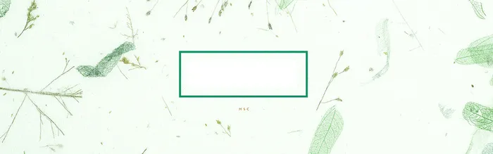 清新背景高清