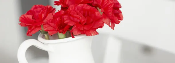 鲜花免抠