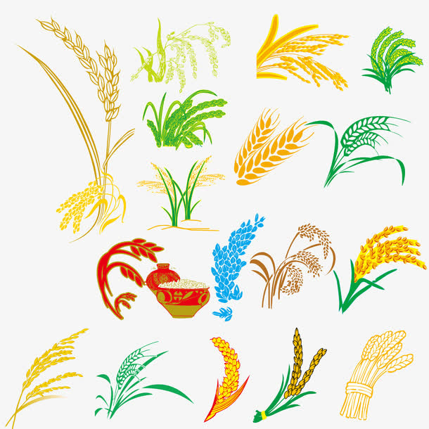 矢量剪影麦穗免抠