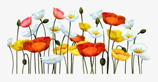 花草线描花卉插画免抠