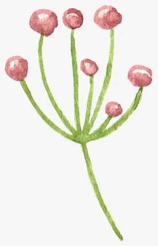 童话水墨手绘植物浆果免抠