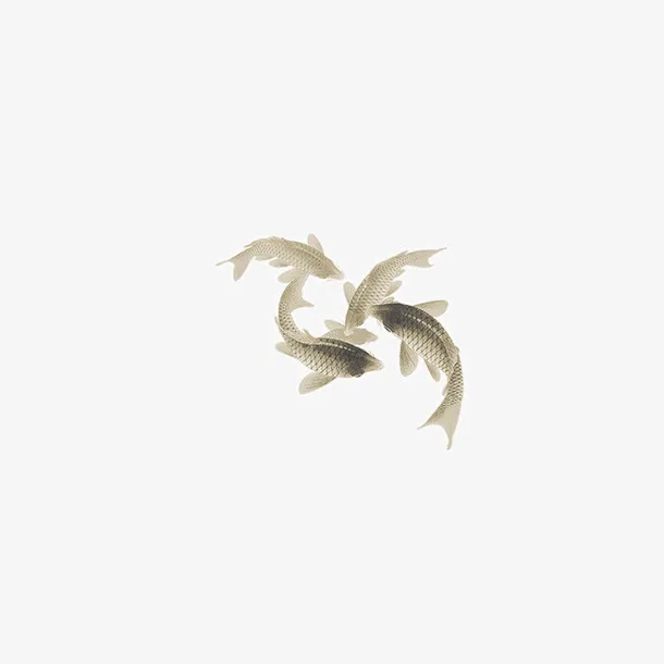 活泼的鲤鱼免抠