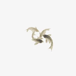 活泼的鲤鱼免抠