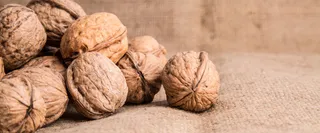 核桃 熟核桃 干果高清