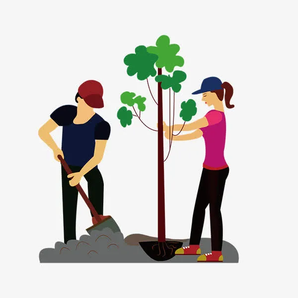 男人女人一起植树免抠